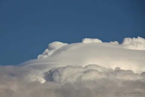 wolk