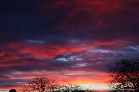 lucht