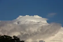 wolk