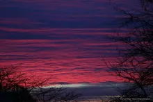 lucht