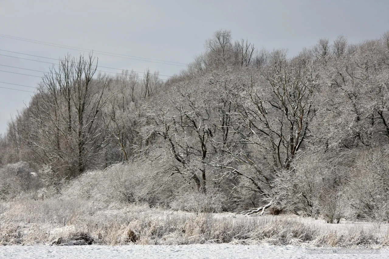 jachthaven wageningen