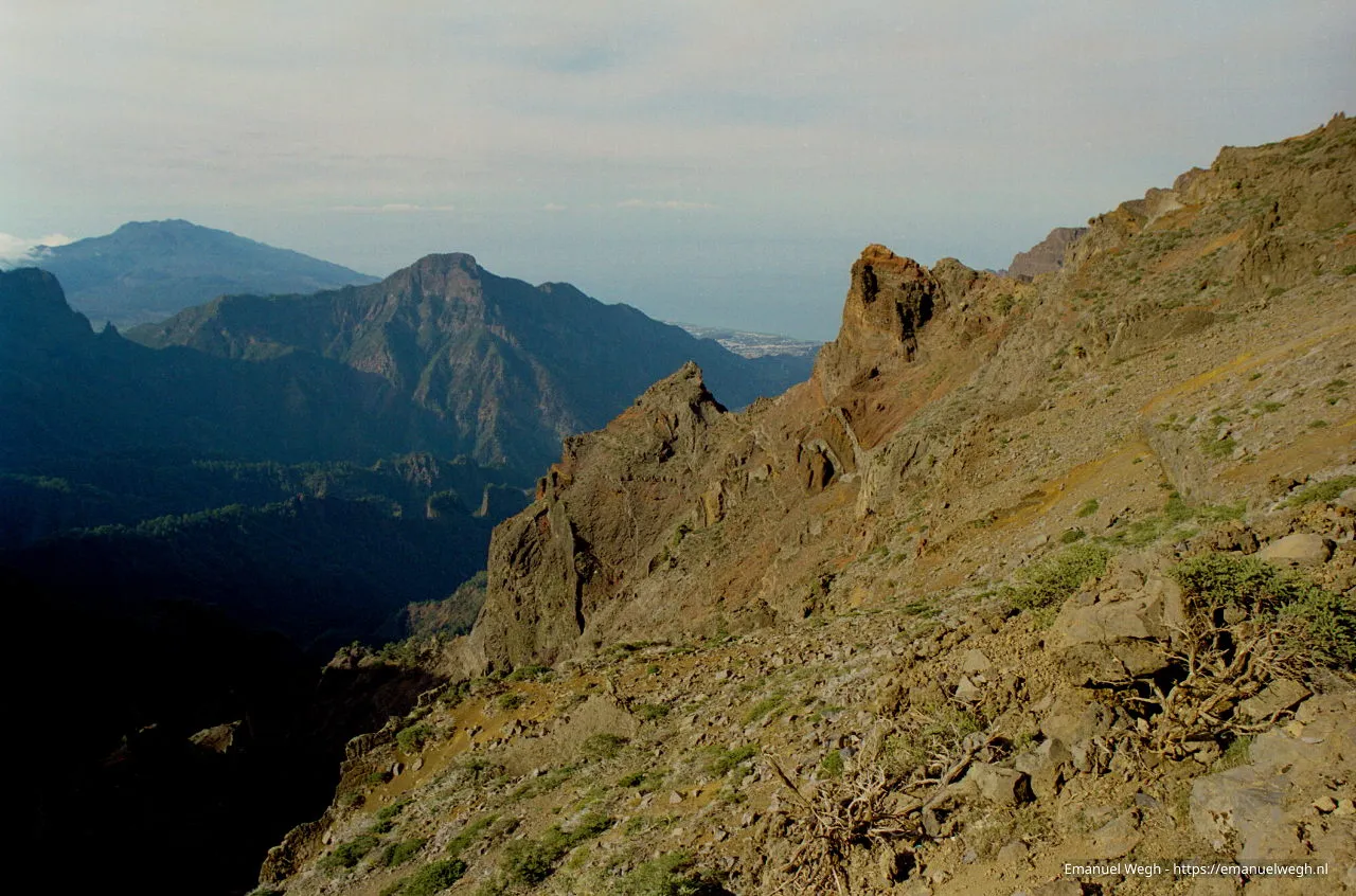 la palma