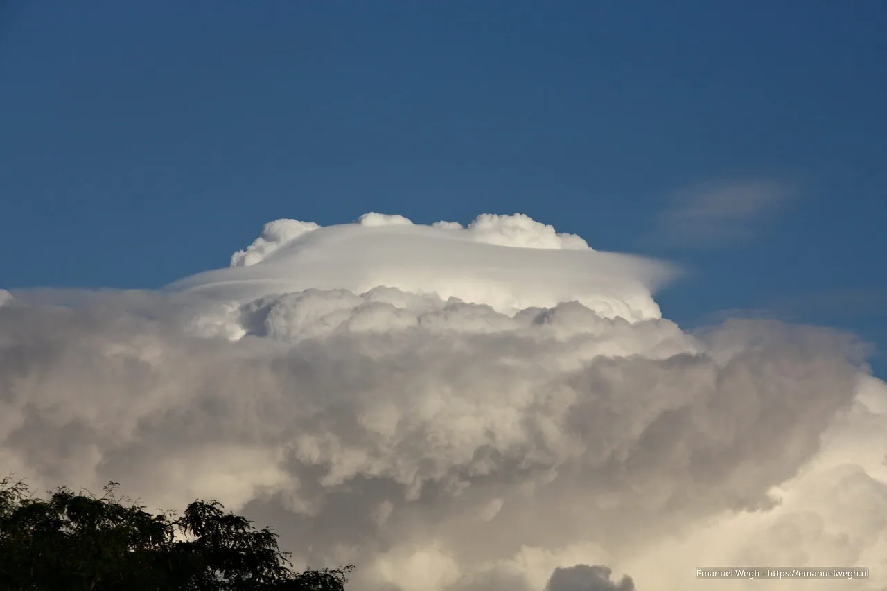 wolk