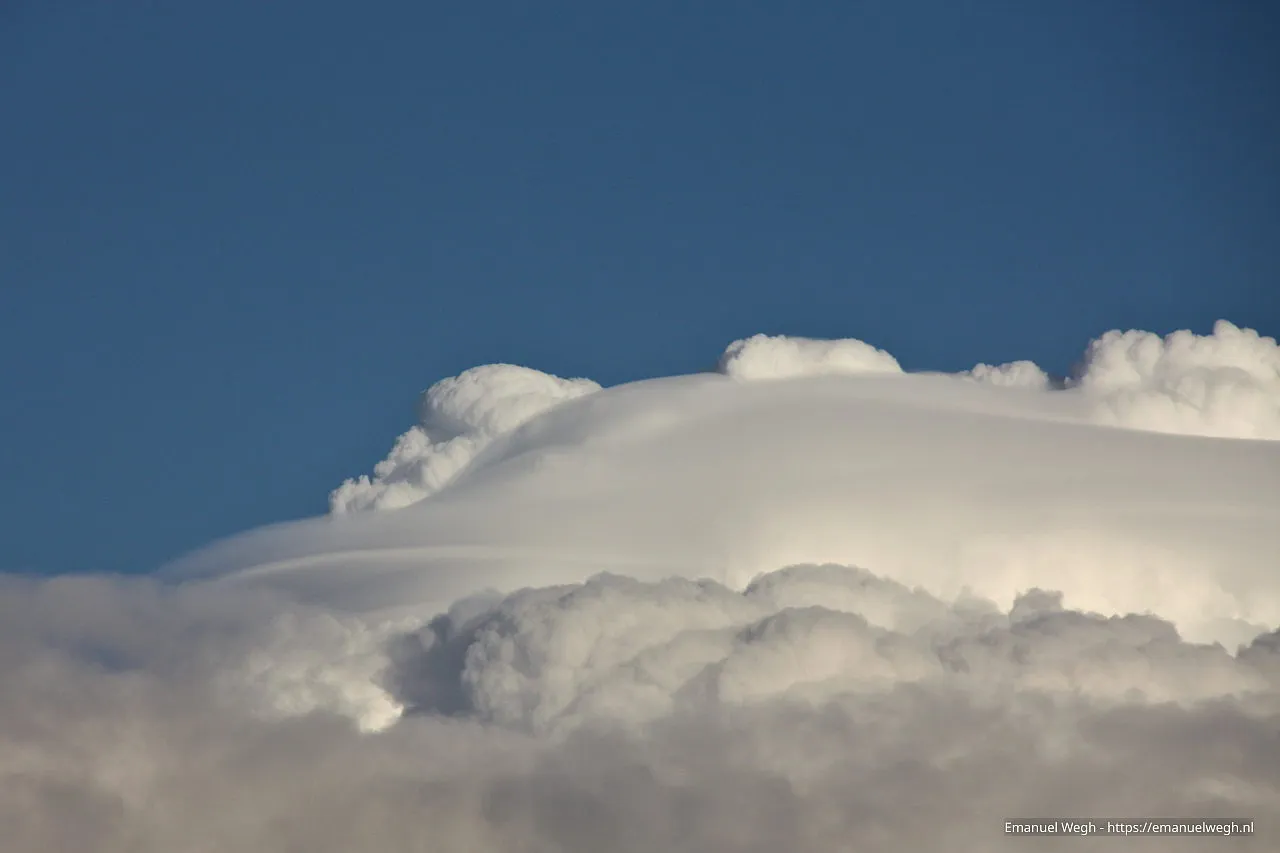wolk